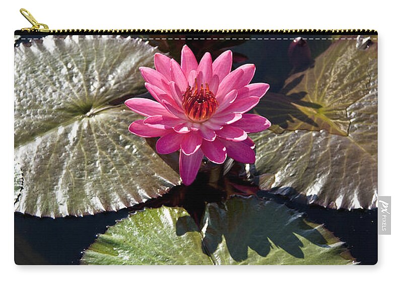Water Llilies Zip Pouch featuring the photograph Pink Water Lily III by Heiko Koehrer-Wagner