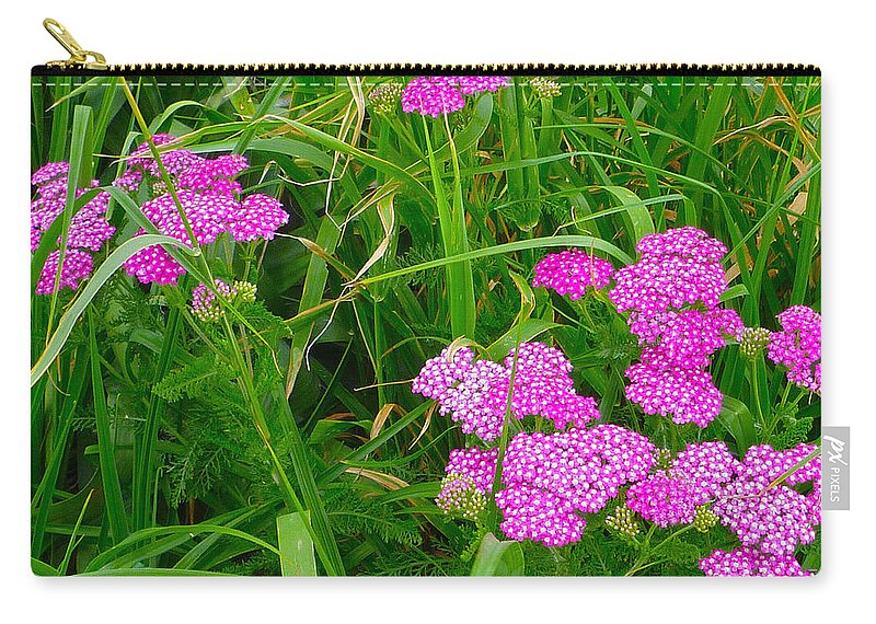 Flowers Zip Pouch featuring the photograph Pink yarrow by Ellen Paull