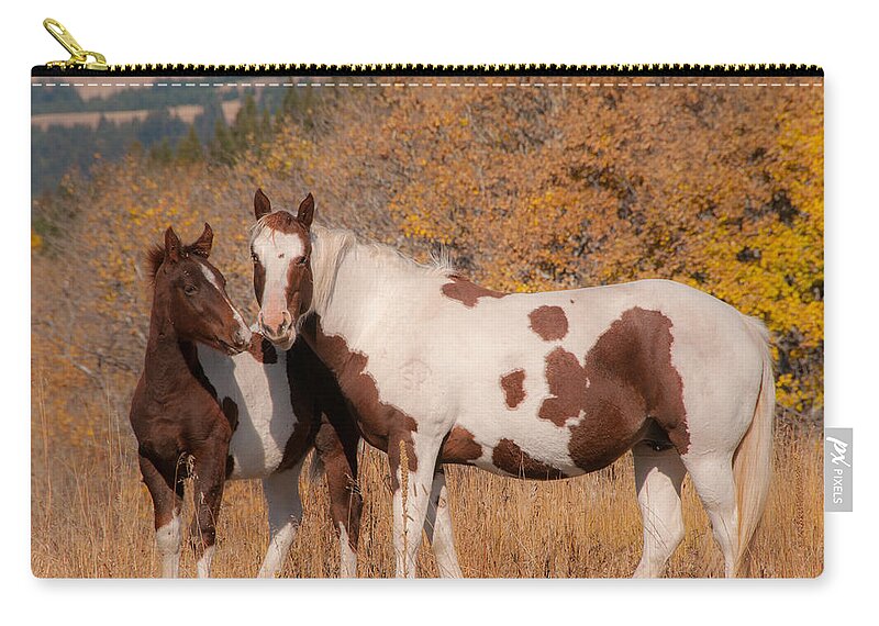 Water Zip Pouch featuring the photograph Pintos in Glacier National Park by Brenda Jacobs