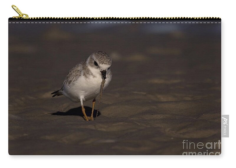 Bunche Beach Zip Pouch featuring the photograph Piping Plover Photo by Meg Rousher