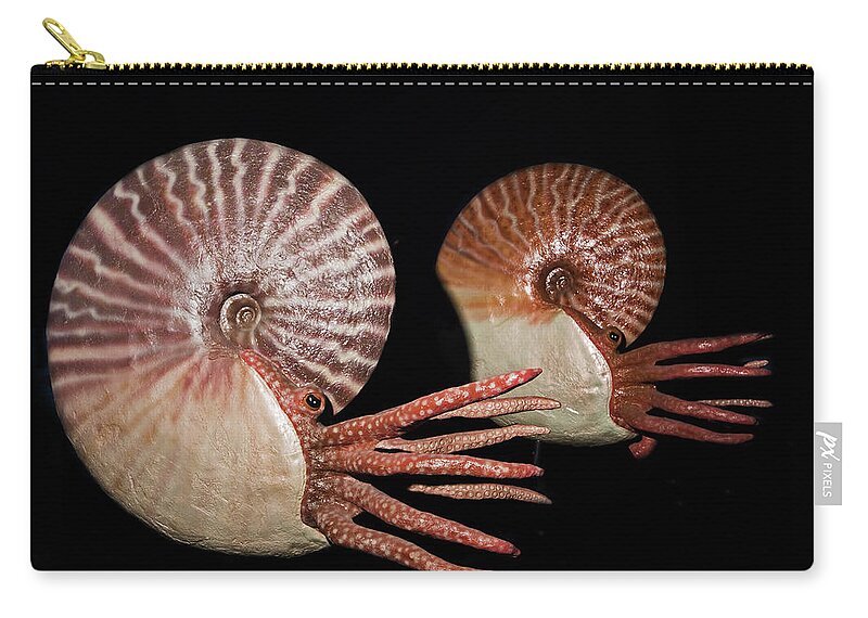 Ammonite Zip Pouch featuring the photograph Placenticeras Cephalopods Sculptures by Millard H. Sharp