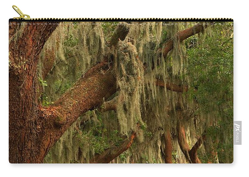 Avenue Of The Oaks Zip Pouch featuring the photograph Plantation Oak Trees by Adam Jewell