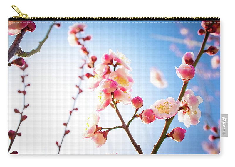 Clear Sky Zip Pouch featuring the photograph Plum Blossoms by Marser