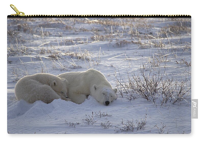 Feb0514 Zip Pouch featuring the photograph Polar Bear And Cub Near Hudson Bay by Flip Nicklin