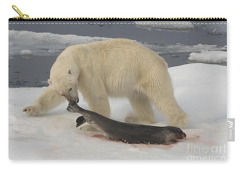 Bearded Seal Zip Pouch featuring the photograph Polar Bear With Fresh Kill by John Shaw