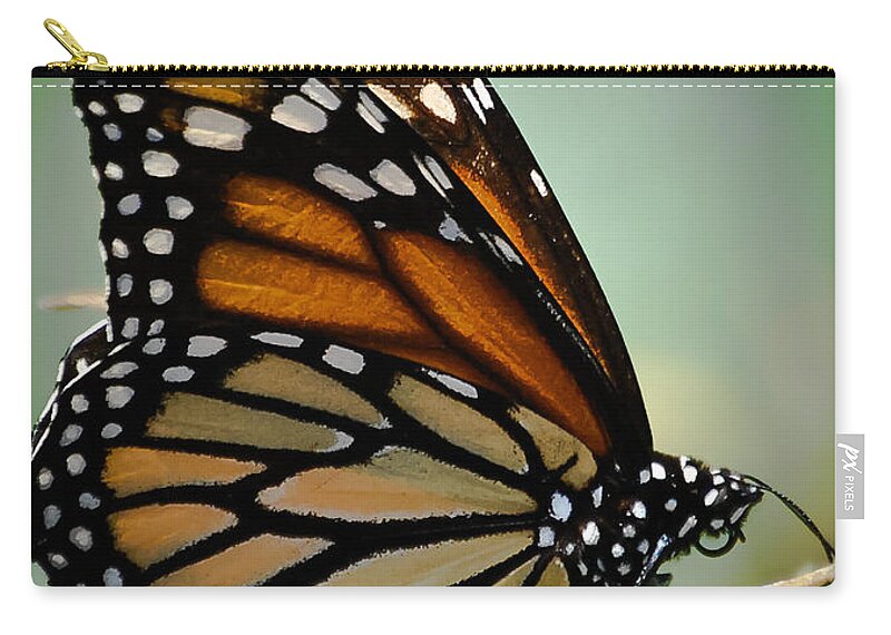 Butterfly Zip Pouch featuring the photograph Polka Dots and Wings by DigiArt Diaries by Vicky B Fuller