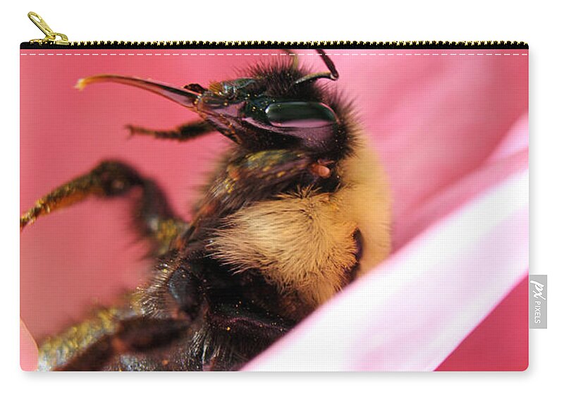 Insects Carry-all Pouch featuring the photograph 'Pollen High' by Jennifer Robin