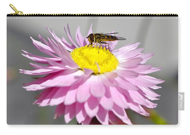 Nature Zip Pouch featuring the photograph Pollination by Cathy Mahnke