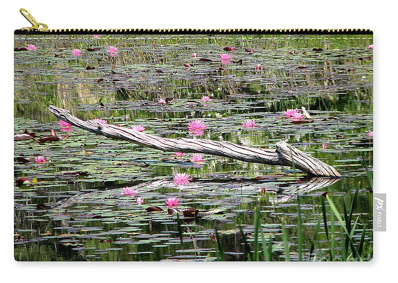 Water Lily Zip Pouch featuring the photograph Pond of Pink Waterlilies by Rose Santuci-Sofranko