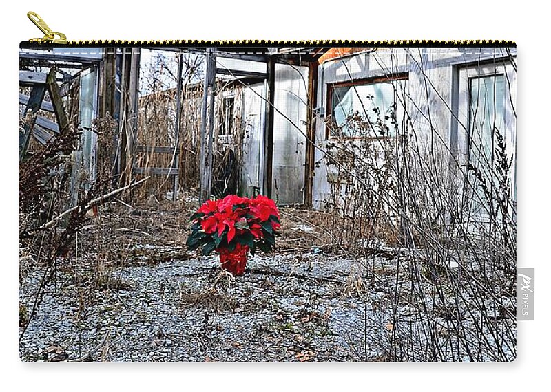 Poinsettia Zip Pouch featuring the photograph Ponsettias in Abandon Greenhouse by Randy J Heath
