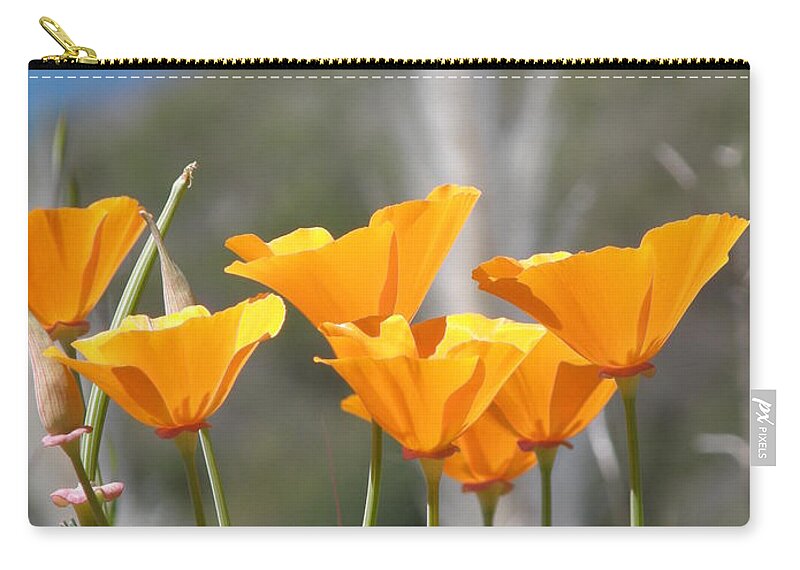 Orange Zip Pouch featuring the photograph Poppies by Bev Conover