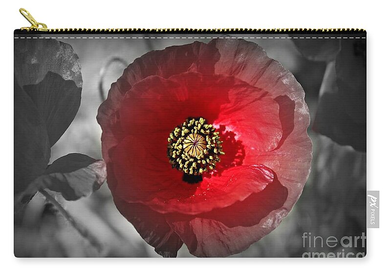 Poppy Zip Pouch featuring the photograph Poppy Color Splash by Clare Bevan