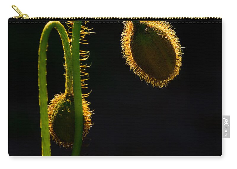 Poppy Zip Pouch featuring the photograph Poppy Details by Anthony Davey