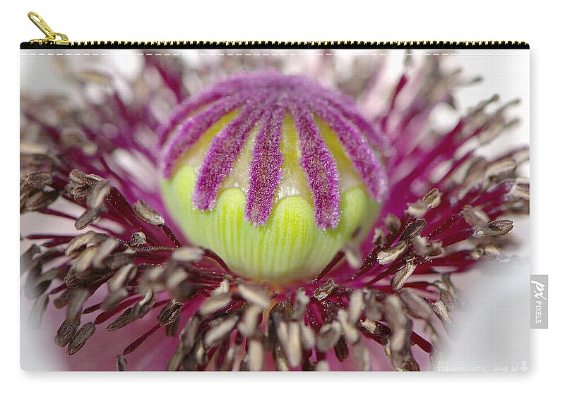 Poppy Zip Pouch featuring the photograph Poppy Macro 2 by Sharon Talson