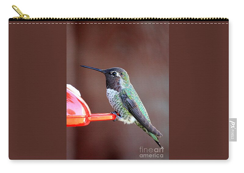 Hummingbird Zip Pouch featuring the photograph Portrait of a Hummingbird by Carol Groenen