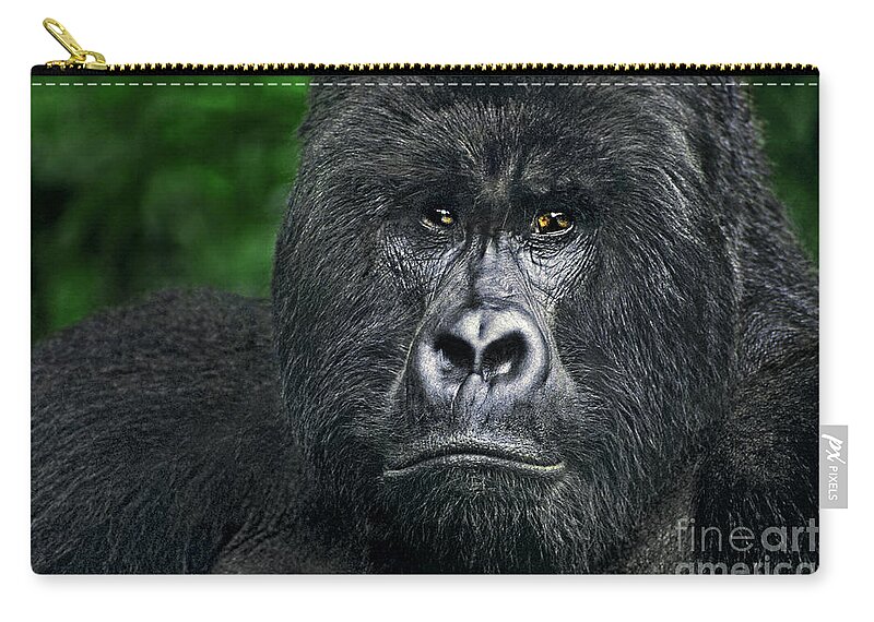 Africa Zip Pouch featuring the photograph Portrait of a Wild Mountain Gorilla SilverbackHIGHLY ENDANGERED by Dave Welling