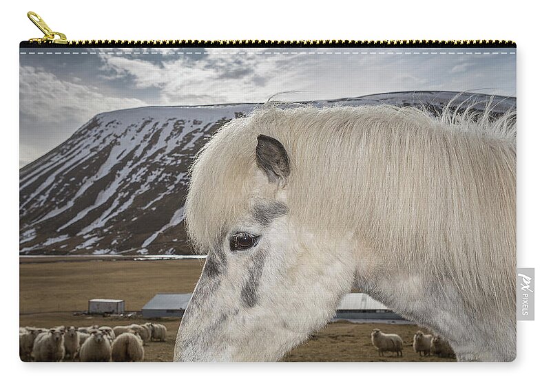 Alertness Zip Pouch featuring the photograph Portrait Of White Horse by Arctic-images