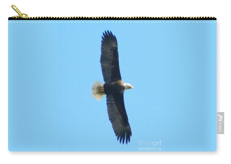 Eagle Zip Pouch featuring the photograph Powerful Elegance by Gallery Of Hope 