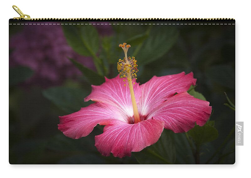 Flower Zip Pouch featuring the photograph Praise be to GOD by Penny Lisowski