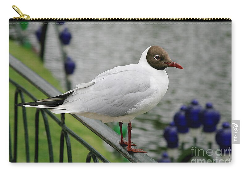 Pretty Bird Zip Pouch featuring the photograph Pretty Bird by Victoria Harrington