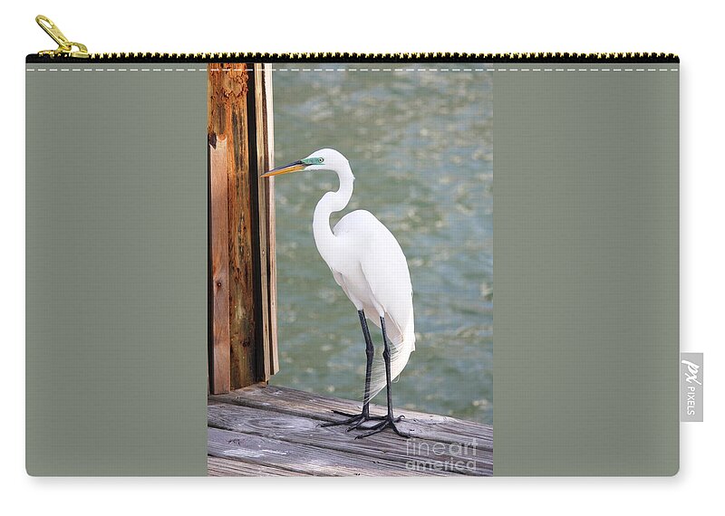 Egret Zip Pouch featuring the photograph Pretty Great Egret by Carol Groenen