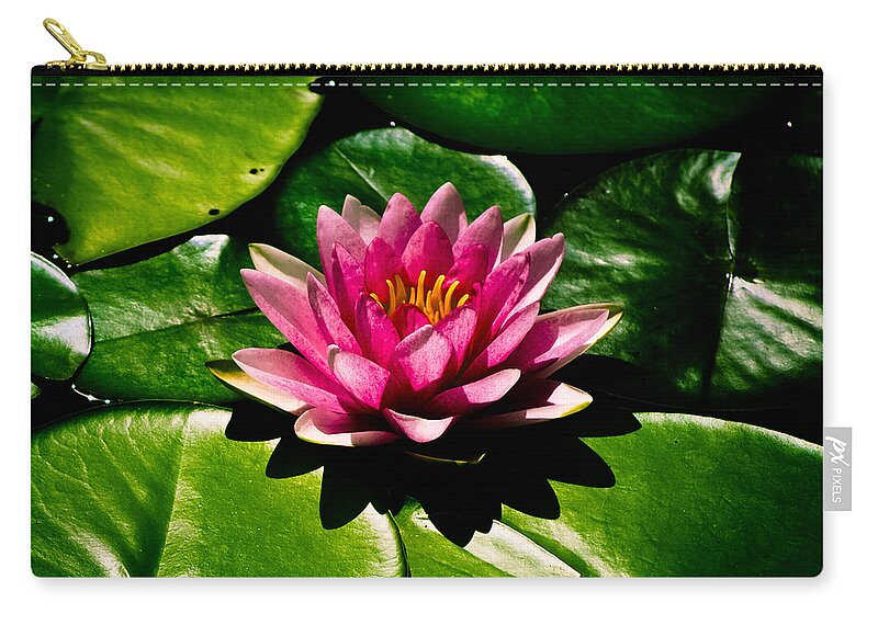 Aquatic Zip Pouch featuring the photograph Pretty in Pink by Christi Kraft