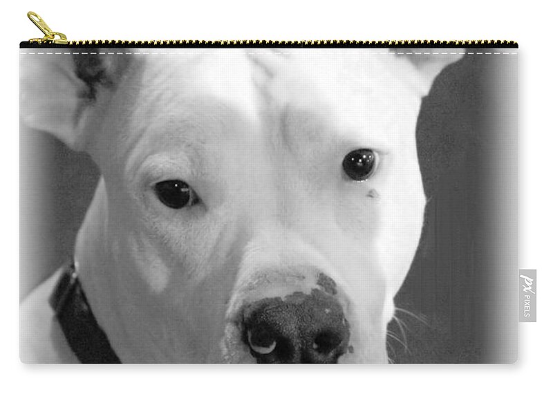 Animals Zip Pouch featuring the photograph PrettyBoy by Robert McCubbin