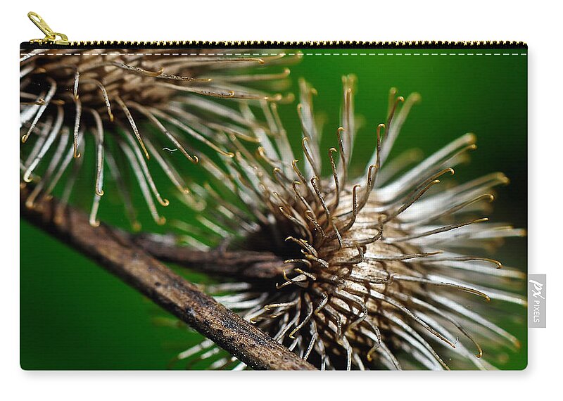 Thistle Zip Pouch featuring the photograph Prickly by Lois Bryan