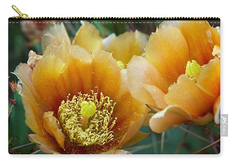 Cacti Zip Pouch featuring the photograph Prickly Pear Cactus by Mary Lee Dereske