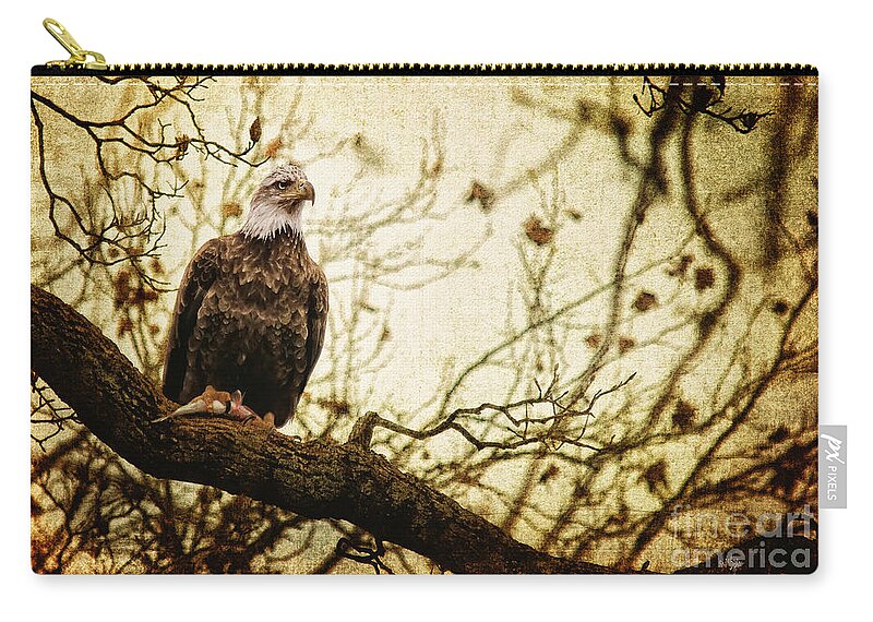 Eagle Zip Pouch featuring the photograph Pride by Lois Bryan