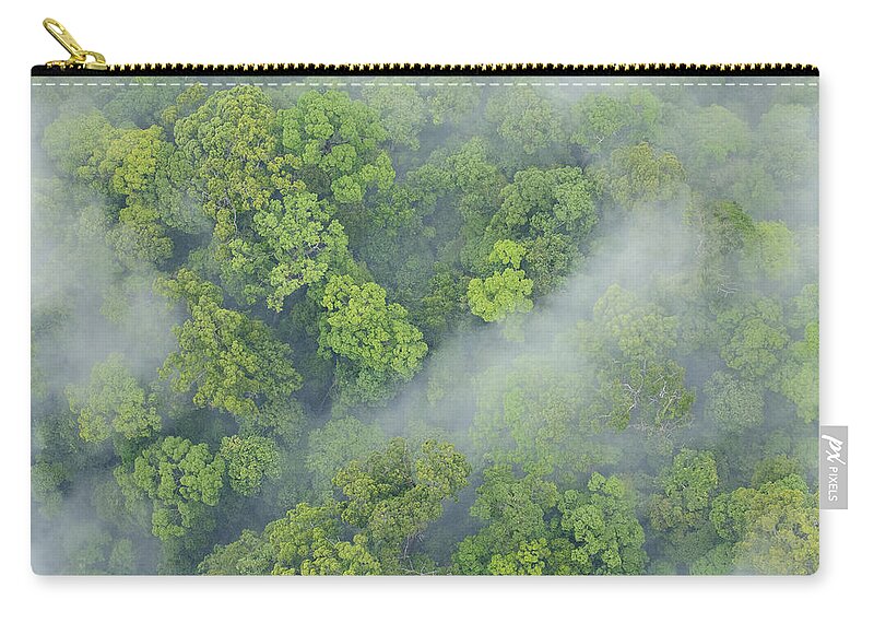 Feb0514 Zip Pouch featuring the photograph Primary Rainforest Sabah Borneo by Ch'ien Lee