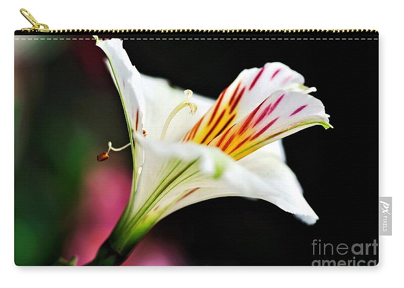 Photography Zip Pouch featuring the photograph Princess Lily Awakening by Kaye Menner
