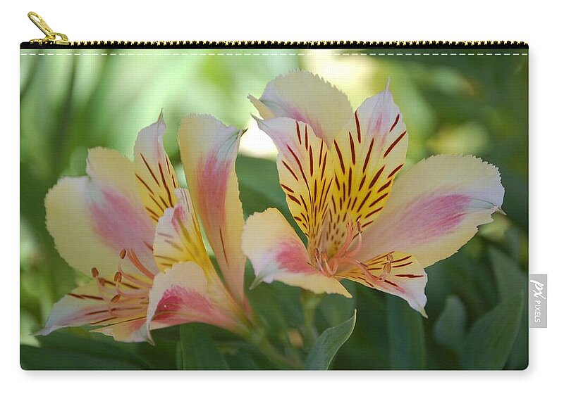 Linda Brody Zip Pouch featuring the photograph Princess Lily by Linda Brody
