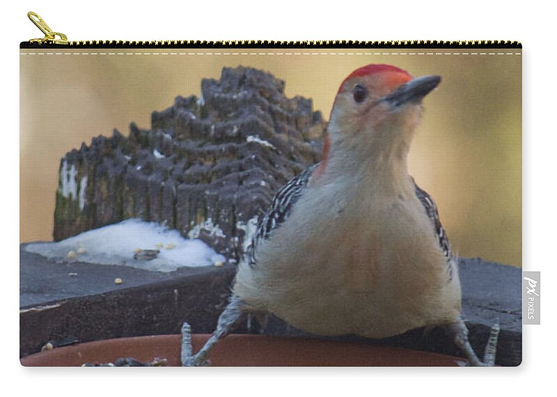 Woodpecker Zip Pouch featuring the photograph Progress Progresses Fast Sometimes by Sandra Clark