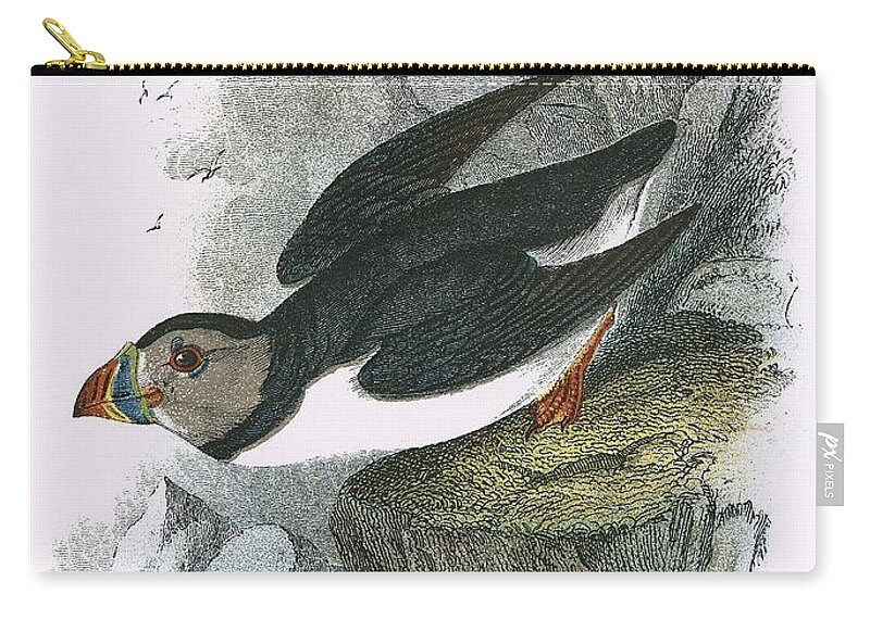 Puffin Zip Pouch featuring the painting Puffin by English School