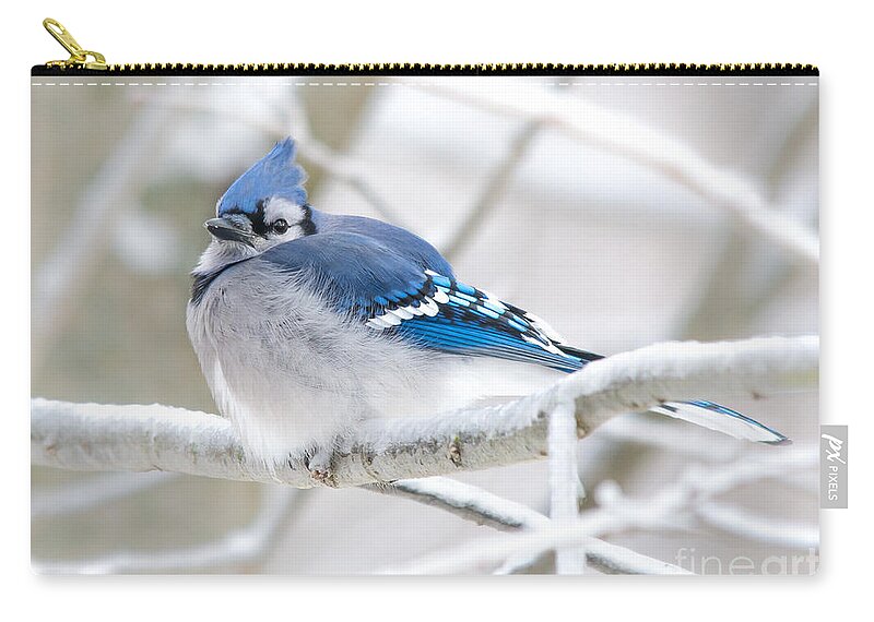 Bokeh Carry-all Pouch featuring the photograph Puffy Blue by Cheryl Baxter
