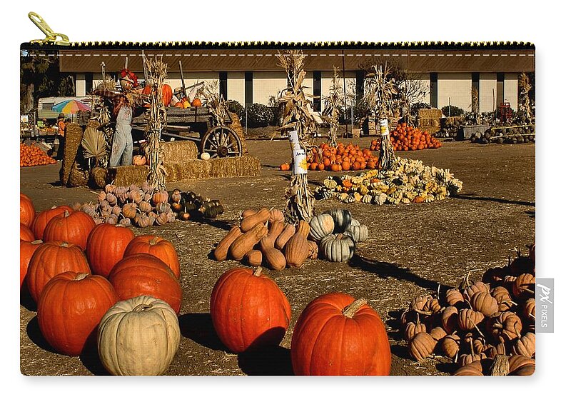 Pumpkins Zip Pouch featuring the photograph Pumpkins by Michael Gordon