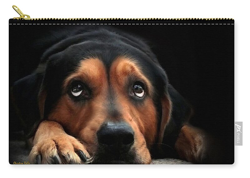 Dog Zip Pouch featuring the mixed media Puppy Dog Eyes by Christina Rollo