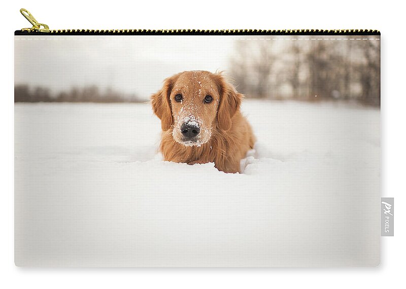 Pets Zip Pouch featuring the photograph Puppy In The Snow by Stacey Montgomery Photography