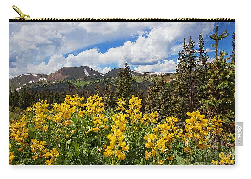 Flowers Zip Pouch featuring the photograph Pure Gold by Jim Garrison