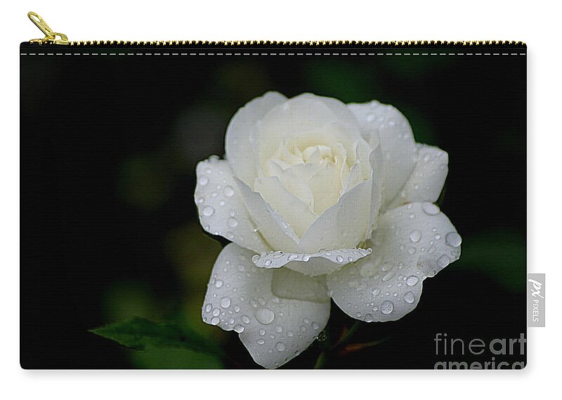 White Rose Zip Pouch featuring the photograph Pure Heaven by Living Color Photography Lorraine Lynch