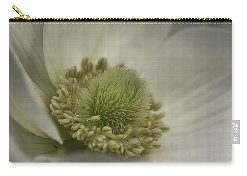 Flower Zip Pouch featuring the photograph Pureness In White by Deborah Benoit