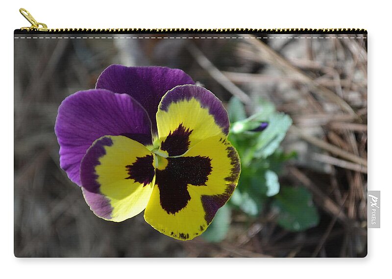 Pansy Zip Pouch featuring the photograph Purple and Yellow Pansy by Tara Potts