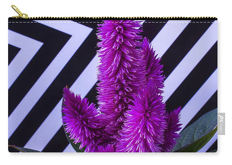 Purple Celosia Zip Pouch featuring the photograph Purple Celosia by Garry Gay