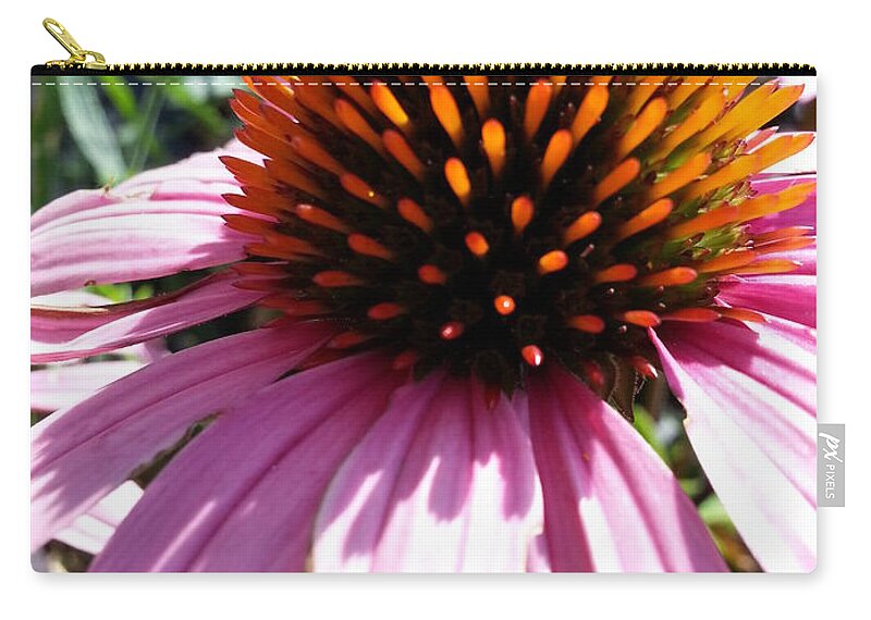 Macro Zip Pouch featuring the photograph Purple Cone Flower by Caryl J Bohn