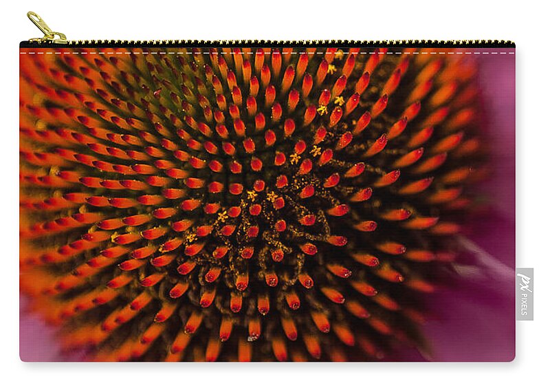 Close-up Zip Pouch featuring the photograph Purple Coneflower by David Smith