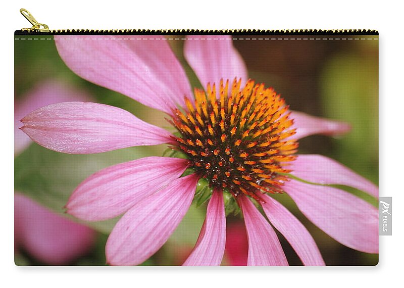 Echinacea Zip Pouch featuring the photograph Purple Coneflower by Donna Walsh