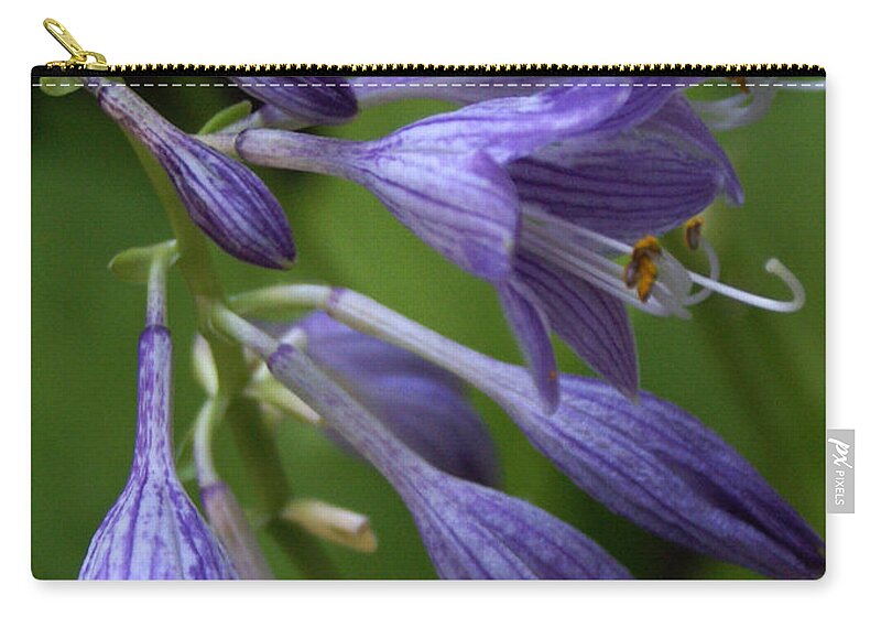 Landscape Zip Pouch featuring the photograph Purple Flowers by Chauncy Holmes