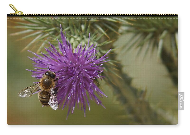 Thistle Zip Pouch featuring the photograph Purple Glory 2 by Ernest Echols