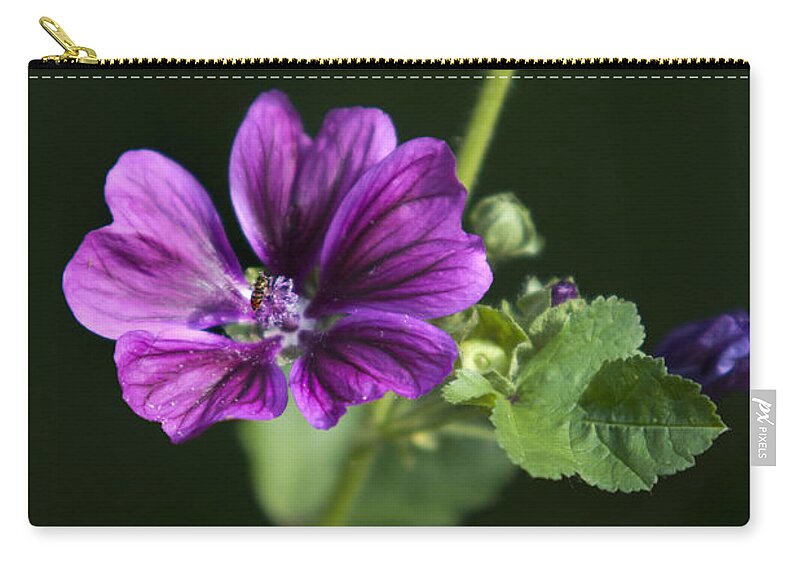 Hollyhocks Zip Pouch featuring the photograph Hollyhocks by Christina Rollo